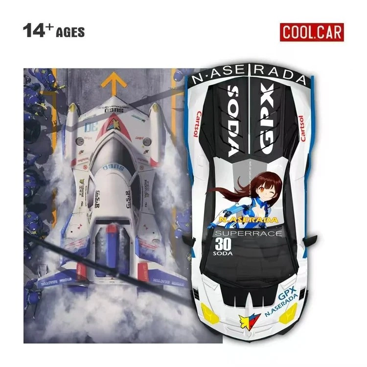 Cool Car Lamborghini GTEVO High-Tech Formula Paint Scheme